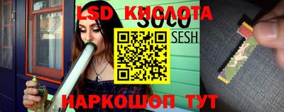 дмт Будённовск