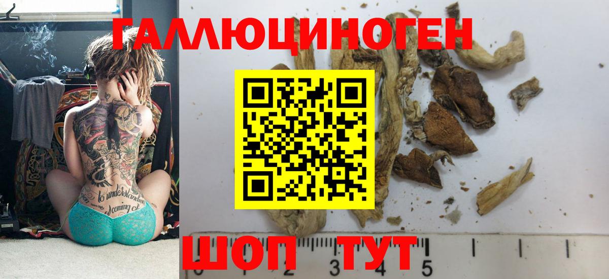 Псилоцибиновые грибы MAGIC MUSHROOMS Иркутск
