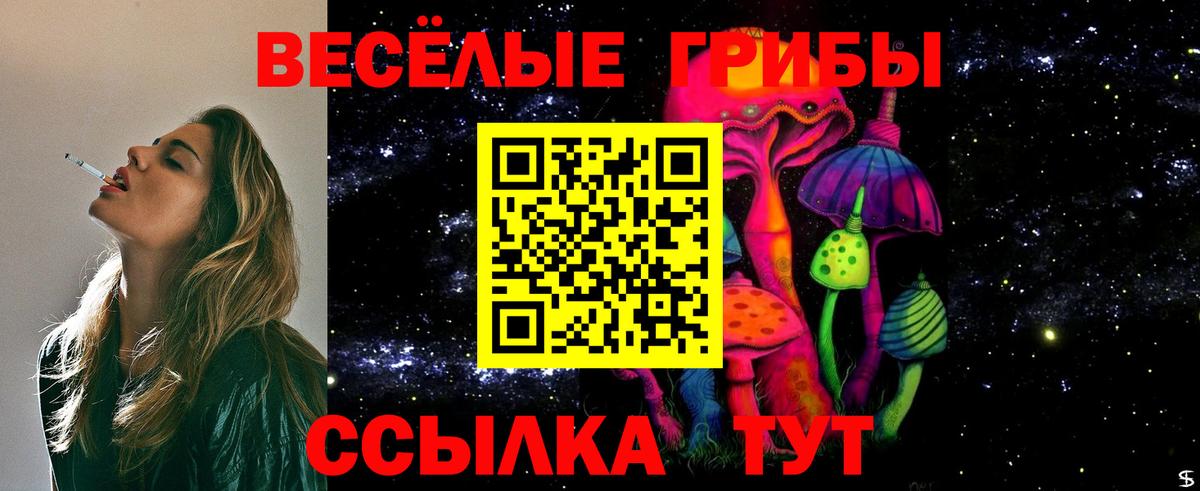 Иркутск  Псилоцибиновые грибы ЛСД  Псилоцибиновые грибы прущие грибы  цена   Вход с VPN 